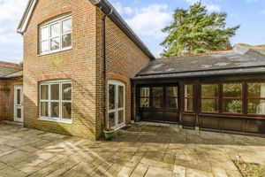 Patio Garden- click for photo gallery
